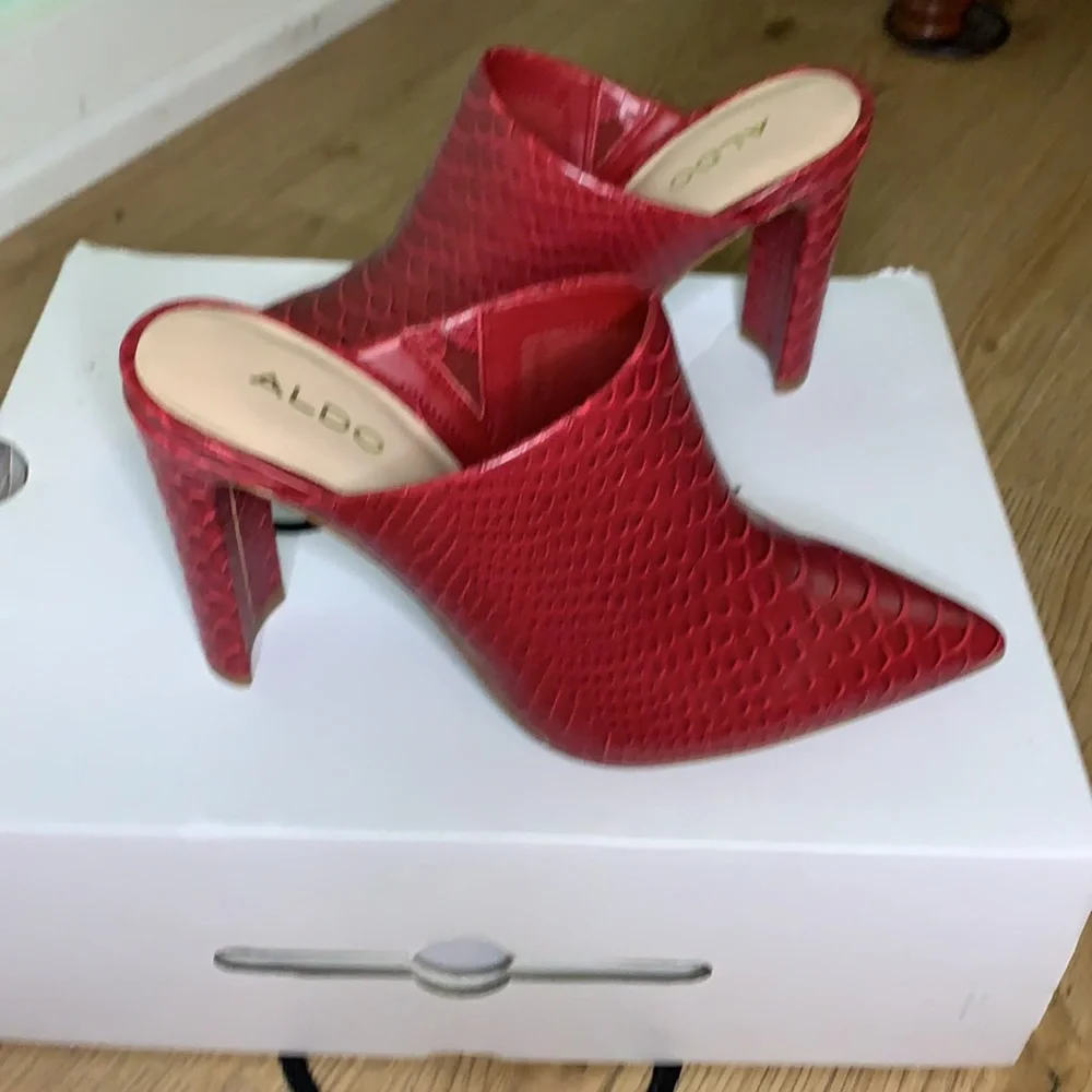 ALDO Skene - Picture 3 of 5